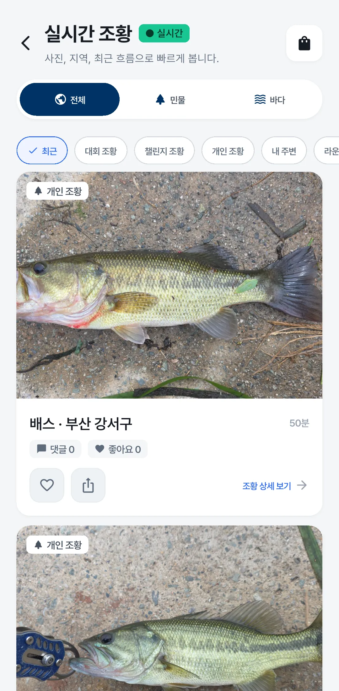 실시간 조황 화면. 위쪽에 종류 칩이 있고 조과 사진 왼쪽 위에 '개인 조황' 표시가 붙어 있다.